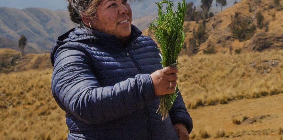 andean-plants-uses-gallery-image-7
